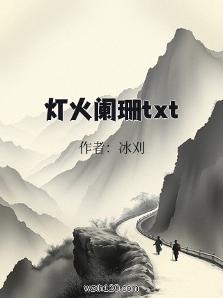 灯火阑珊txt