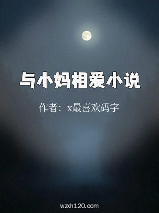 与小妈相爱小说