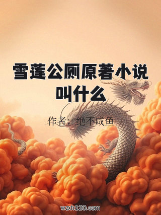 雪莲公厕原著小说叫什么