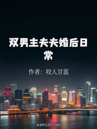 双男主夫夫婚后日常