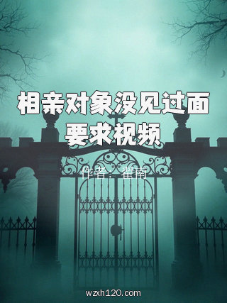 相亲对象没见过面要求视频