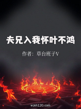 夫兄入我怀叶不鸿