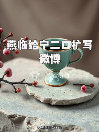 燕临给宁二口扩写微博
