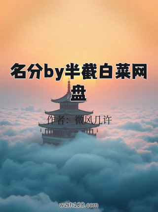 名分by半截白菜网盘