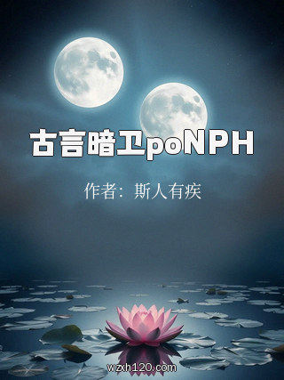 古言暗卫poNPH