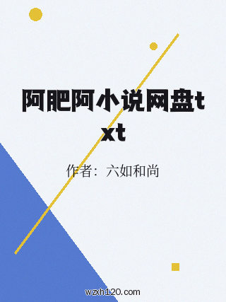 阿肥阿小说网盘txt