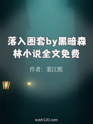 落入圈套by黑暗森林小说全文免费