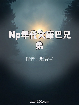Np年代文康巴兄弟