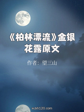 《柏林漂流》金银花露原文