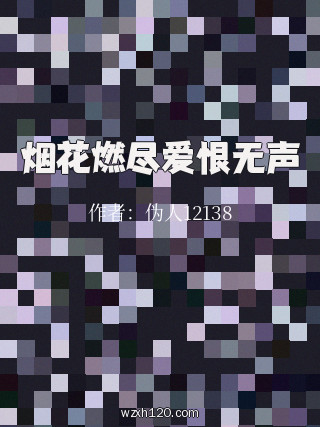 烟花燃尽爱恨无声