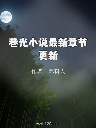 巷光小说最新章节更新