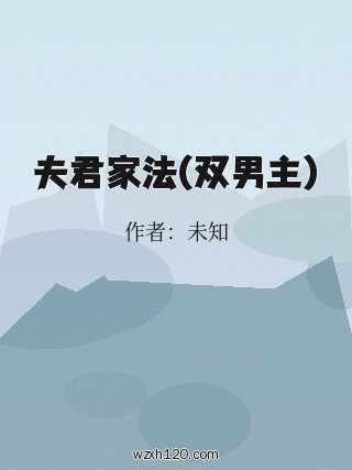 夫君家法(双男主)