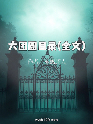 大团圆目录(全文)