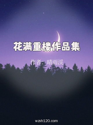 花满重楼作品集