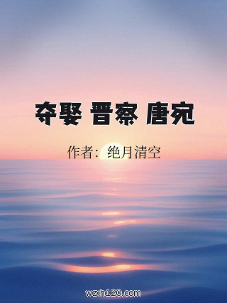 夺娶 晋察 唐宛