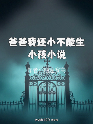 爸爸我还小不能生小孩小说