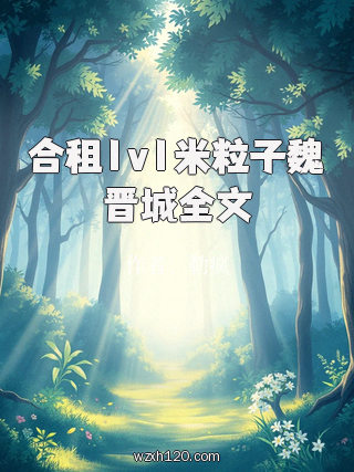 合租1v1米粒子魏晋城全文