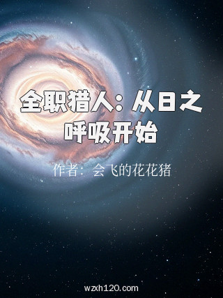 全职猎人:从日之呼吸开始
