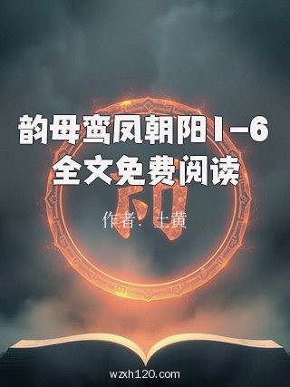 韵母鸾凤朝阳1-6全文免费阅读