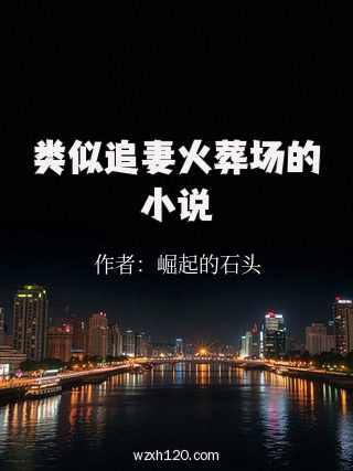 类似追妻火葬场的小说