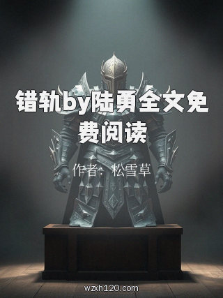 错轨by陆勇全文免费阅读