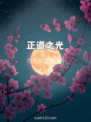 正道之光