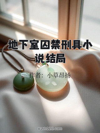 地下室囚禁刑具小说结局