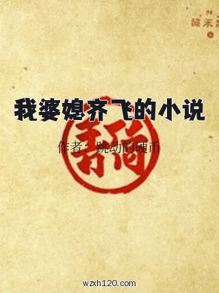 我婆媳齐飞的小说