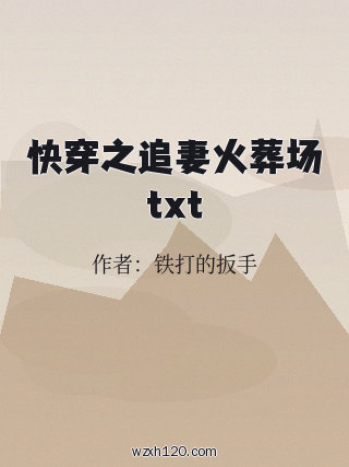 快穿之追妻火葬场txt