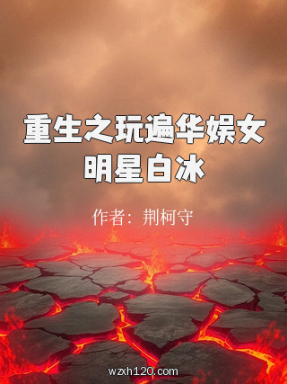重生之玩遍华娱女明星白冰