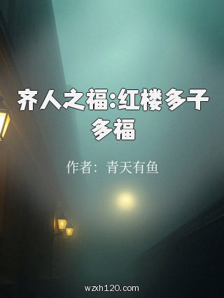 齐人之福:红楼多子多福