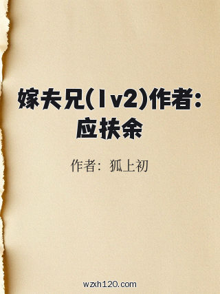 嫁夫兄(1v2)作者:应扶余