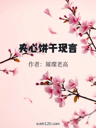 夹心饼干现言