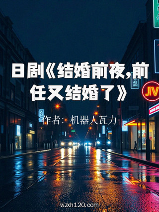 日剧《结婚前夜,前任又结婚了》