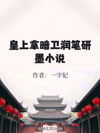 皇上拿暗卫润笔研墨小说