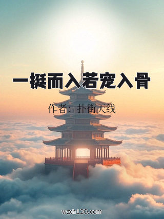 一挺而入若宠入骨