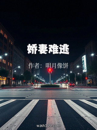 娇妻难逃
