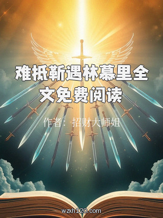难抵靳遇林慕里全文免费阅读
