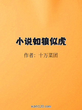 小说如狼似虎
