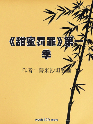 《甜蜜罚罪》第一季