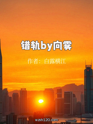 错轨by向雾