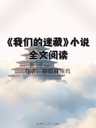 《我们的迷藏》小说全文阅读