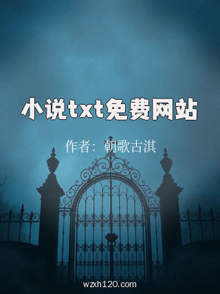 小说txt免费网站