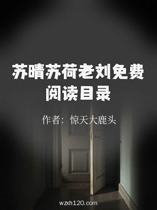 苏晴苏荷老刘免费阅读目录