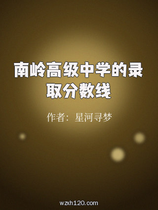 南岭高级中学的录取分数线