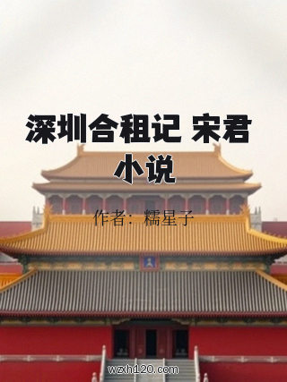 深圳合租记 宋君 小说