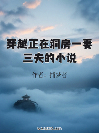 穿越正在洞房一妻三夫的小说