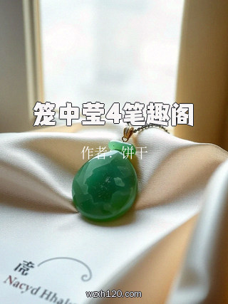 笼中莹4笔趣阁