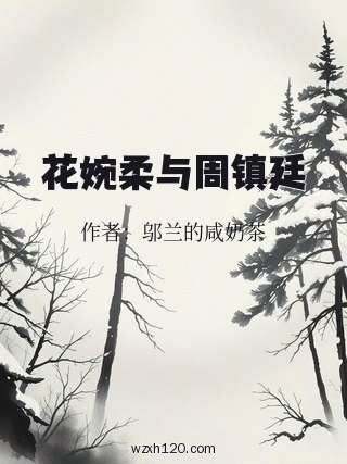 花婉柔与周镇廷