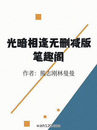 光暗相逢无删减版笔趣阁